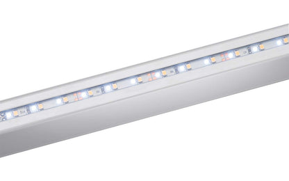  Dometic RainTec RT 100 LED-Regenrinne Für Schiebetüren Fiat Ducato