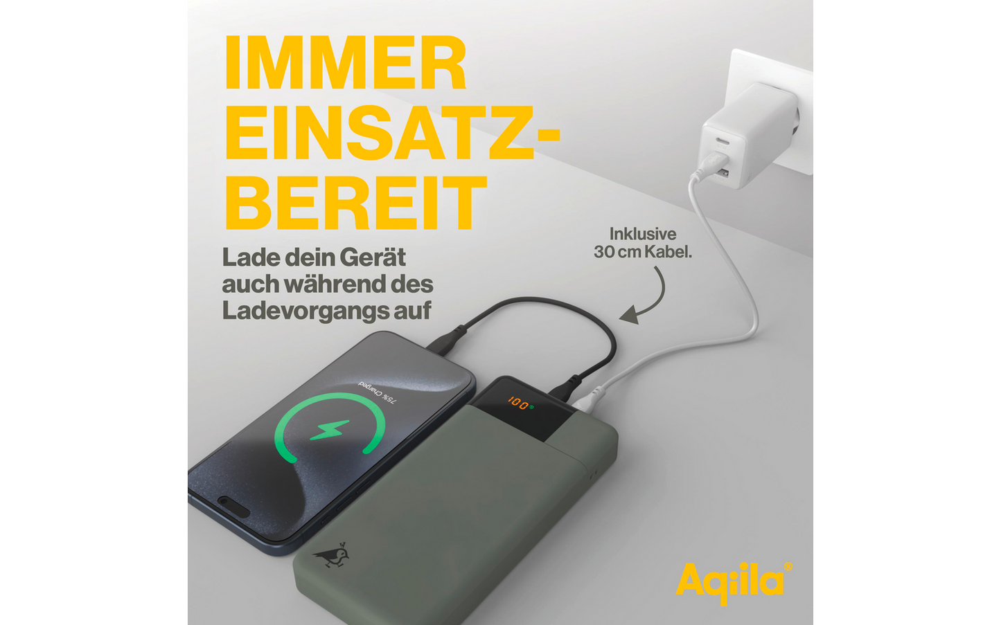  Aqiila Powerbird Powerbank 65 W 20000 MAh