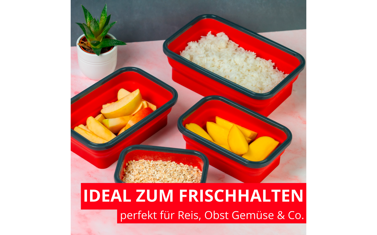  Westmark Faltbare Frischhaltedose Eckig