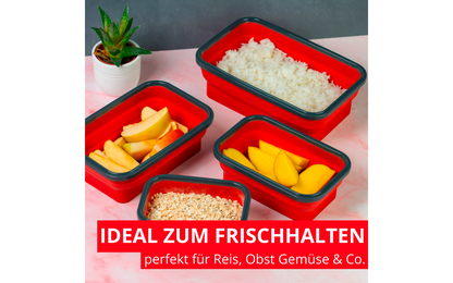  Westmark Faltbare Frischhaltedose Eckig