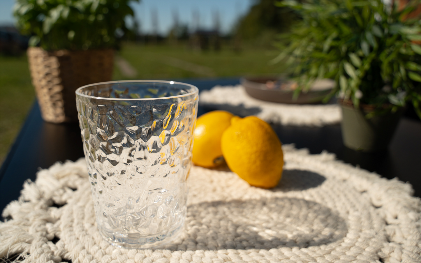  Berger Zelva Acryl Trinkglas-Set 2-tlg.