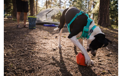  Ruffwear Front Range Halsband