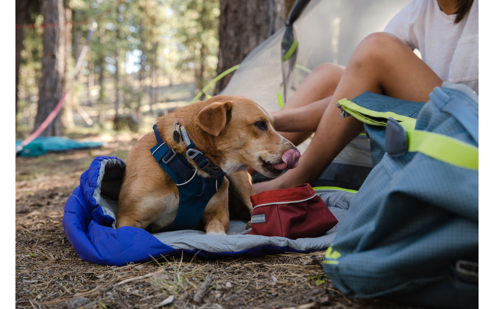  Ruffwear Front Range Halsband