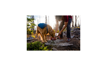  Ruffwear Quencher Hundenapf Für Unterwegs