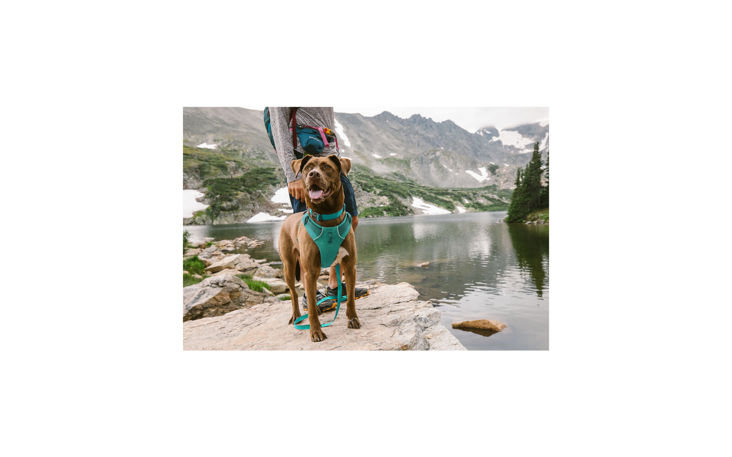  Ruffwear Front Range Gepolstertes Hundegeschirr