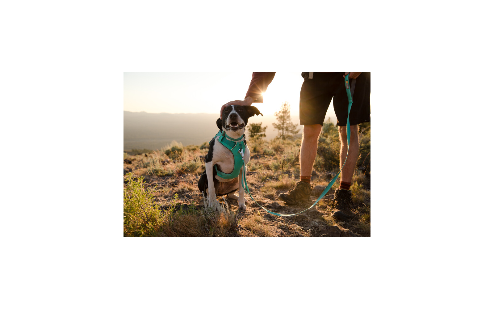  Ruffwear Front Range Hundeleine
