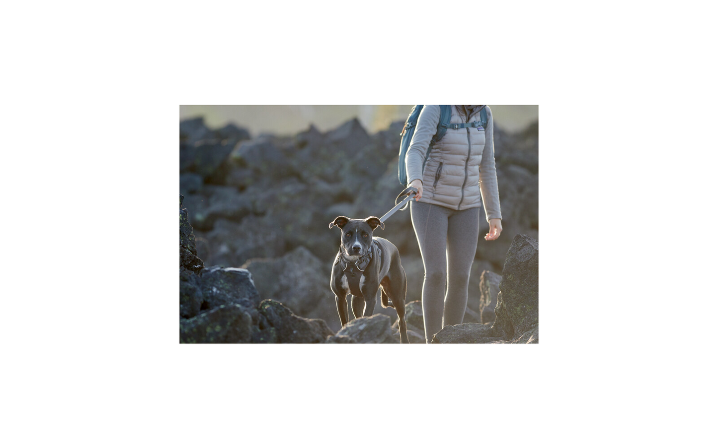  Ruffwear Front Range Hundeleine