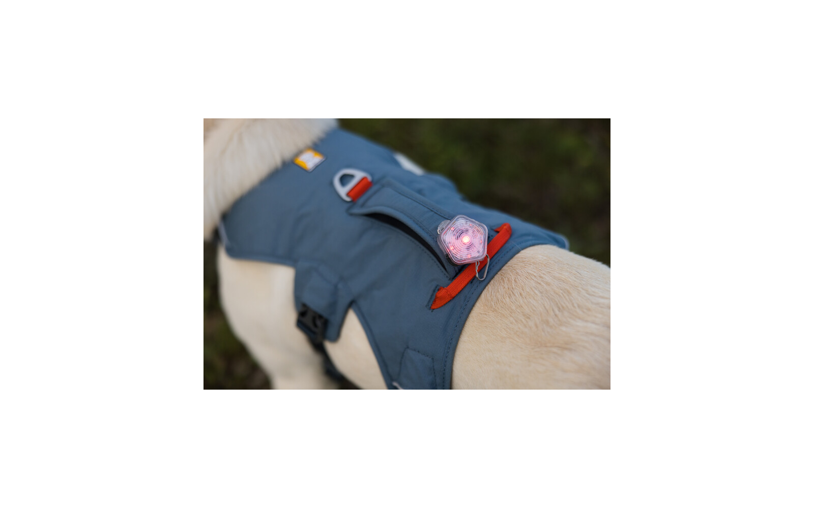  Ruffwear Web Master Hundegeschirr Mit Handschlaufe
