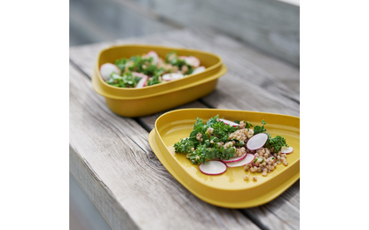  Light My Fire Bowl'n Lid Lunchbox